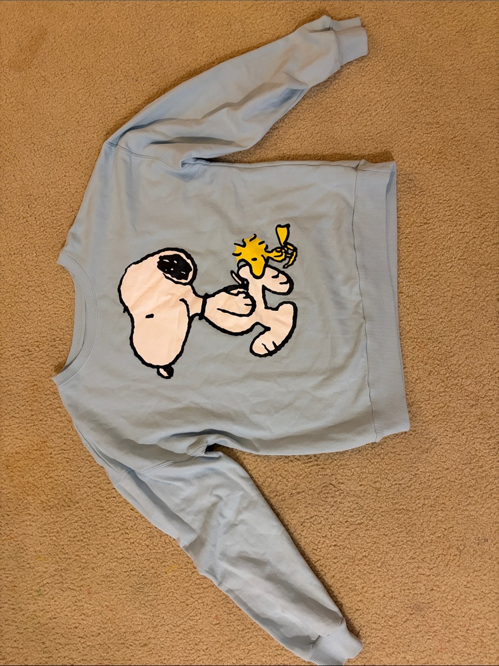 Peanuts Light Blue Sweater with Snoopy & Woodstock Print-Medium